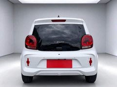 SAIC Corey Wei CLEVER 2021 302km All-Purpose Edition - ფოტო 5