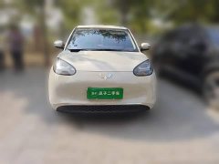 Wuling Binguo 2023 333km Joy Edition - ფოტო 2