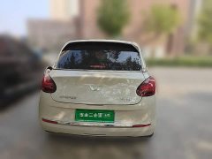 Wuling Binguo 2023 333km Joy Edition - ფოტო 3