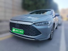 BYD Qin Plus DM-i 55KM Flagship - ფოტო 1