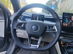 BYD Qin Plus DM-i 55KM Flagship - ფოტო 11