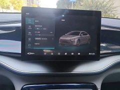BYD Qin Plus DM-i 55KM Flagship - ფოტო 14