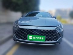 BYD Qin Plus DM-i 55KM Flagship - ფოტო 2