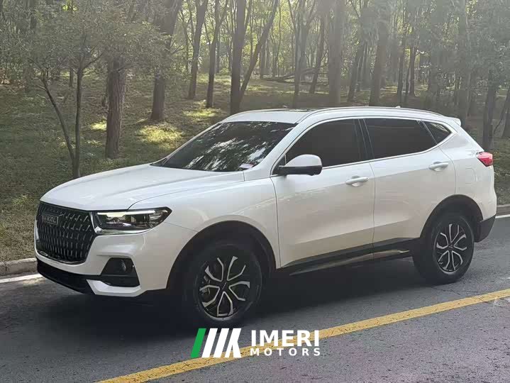 Haval H6 2023 National Trend Edition 1.5T Automatic Urban Version - ავტომობილი ჩინეთიდან