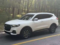 Haval H6 2023 National Trend Edition 1.5T Automatic Urban Version - ფოტო 1