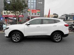 Haval H6 National Trend 1.5T Automatic Champion Edition - ფოტო 3
