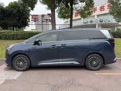 Denza BYD Denza D9 DM-i 1050 Premium - ფოტო 3