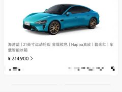 Xiaomi SU7 2024 Quad Motor Ultra-Long Range Advanced Autonomous Driving Max - ფოტო 5