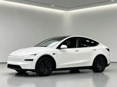 Tesla Model Y Long Range All-Wheel Drive Launch Edition - ფოტო 2