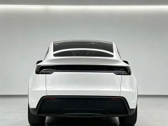 Tesla Model Y Long Range All-Wheel Drive Launch Edition - ფოტო 8