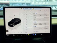 Tesla Model Y Rear-Wheel Drive - ფოტო 10