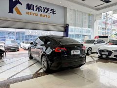 Tesla Model Y Rear-Wheel Drive - ფოტო 13