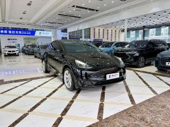 Tesla Model Y Rear-Wheel Drive - ფოტო 4
