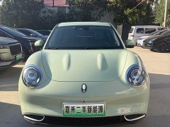ORA Good Cat 401km Deluxe 135kW - ფოტო 1