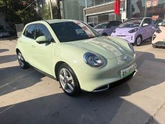 ORA Good Cat 401km Deluxe 135kW - ფოტო 2