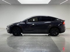 Tesla Model Y Rear-Wheel Drive - ფოტო 7