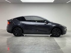 Tesla Model Y Rear-Wheel Drive - ფოტო 8