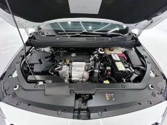 Buick GL6 2021 323T Hybrid Connected Luxury - ფოტო 20