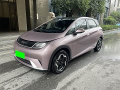 BYD Dolphin 405km Fashion Edition - ფოტო 1