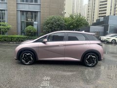 BYD Dolphin 405km Fashion Edition - ფოტო 3