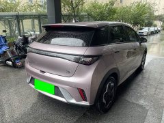 BYD Dolphin 405km Fashion Edition - ფოტო 9