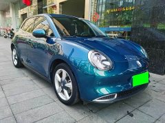 ORA Good Cat 401km Standard Range Luxury LFP - ფოტო 3