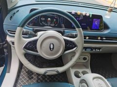 ORA Good Cat 401km Standard Range Luxury LFP - ფოტო 4