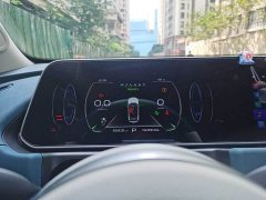 ORA Good Cat 401km Standard Range Luxury LFP - ფოტო 7