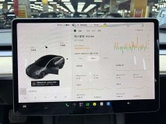 Tesla Model 3 Standard Range RWD Upgrade 3D6 - ფოტო 15