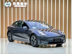 Tesla Model 3 Standard Range RWD Upgrade 3D6 - ფოტო 3