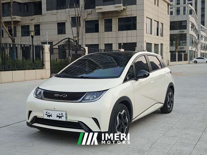 BYD Dolphin 405km Fashion Edition - ავტომობილი ჩინეთიდან