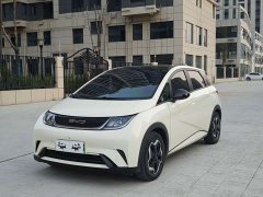 BYD Dolphin 405km Fashion Edition - ფოტო 1