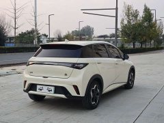 BYD Dolphin 405km Fashion Edition - ფოტო 7