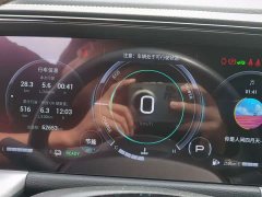 GAC Trumpchi GS8 Dual Engine 2.0TM AWD Luxury Edition (6-Seater) - ფოტო 14