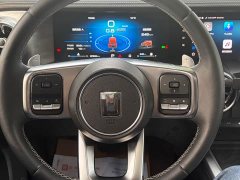Tank 300 2023 Off-Road Edition 2.0T Conqueror - ფოტო 10
