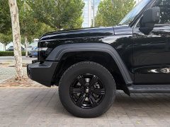 Tank 300 2023 Off-Road Edition 2.0T Conqueror - ფოტო 20