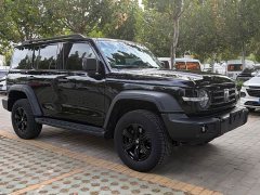 Tank 300 2023 Off-Road Edition 2.0T Conqueror - ფოტო 3