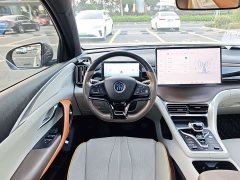 BYD Song Pro New Energy 2022 DM-i 110km Flagship Pro - ფოტო 9