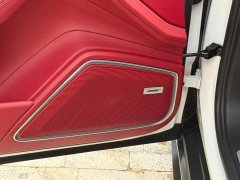 Porsche Panamera 4 Executive Long Wheelbase 2.9T - ფოტო 18