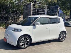 Ora White Cat 2022 Upgrade 305km Luxury Trim Ternary Lithium Battery - ფოტო 1