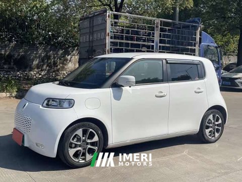 2021 Ora White Cat 2022 Upgrade 305km Luxury Trim Ternary Lithium Battery - ავტომობილი ჩინეთიდან