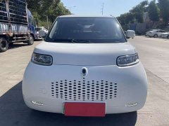 Ora White Cat 2022 Upgrade 305km Luxury Trim Ternary Lithium Battery - ფოტო 2