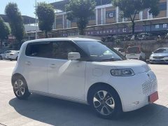 Ora White Cat 2022 Upgrade 305km Luxury Trim Ternary Lithium Battery - ფოტო 3
