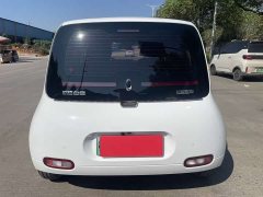 Ora White Cat 2022 Upgrade 305km Luxury Trim Ternary Lithium Battery - ფოტო 8