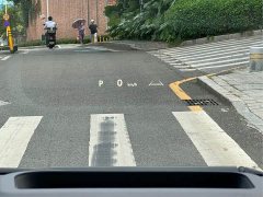 Toyota Alphard 2024 Overseas Edition - ფოტო 8