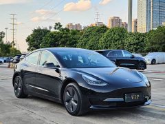 Tesla Model 3 Standard Range RWD Upgrade - ფოტო 3