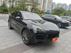 Porsche Cayenne S 2.9T Platinum Edition - ფოტო 3