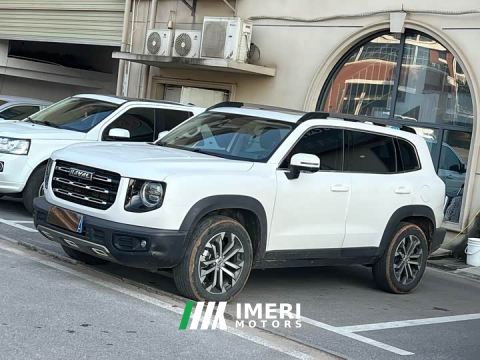 2021 Great Wall Dachshund 1.5T DCT Two-Wheel Drive Border Collie Edition