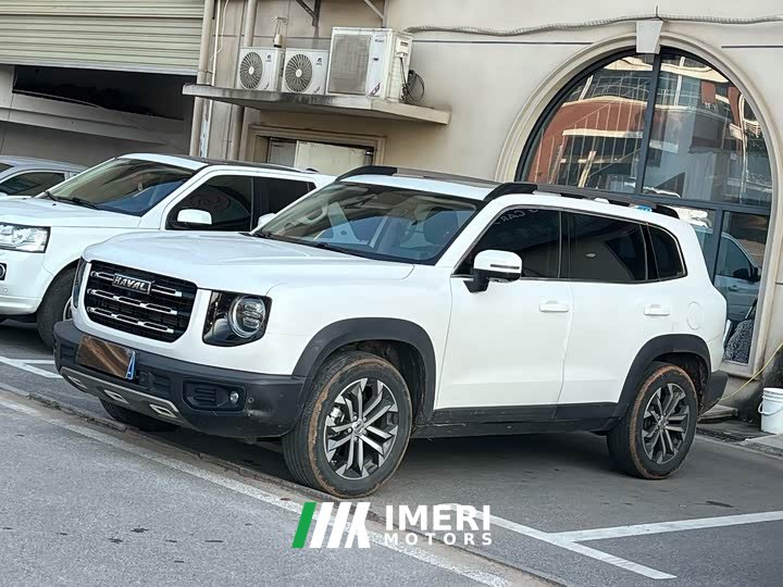 Great Wall Dachshund 1.5T DCT Two-Wheel Drive Border Collie Edition