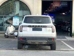 Great Wall Dachshund 1.5T DCT Two-Wheel Drive Border Collie Edition - ფოტო 8